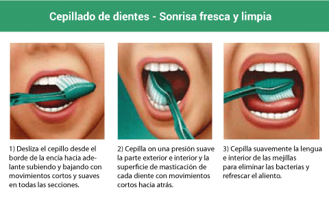 Cepillado dientes